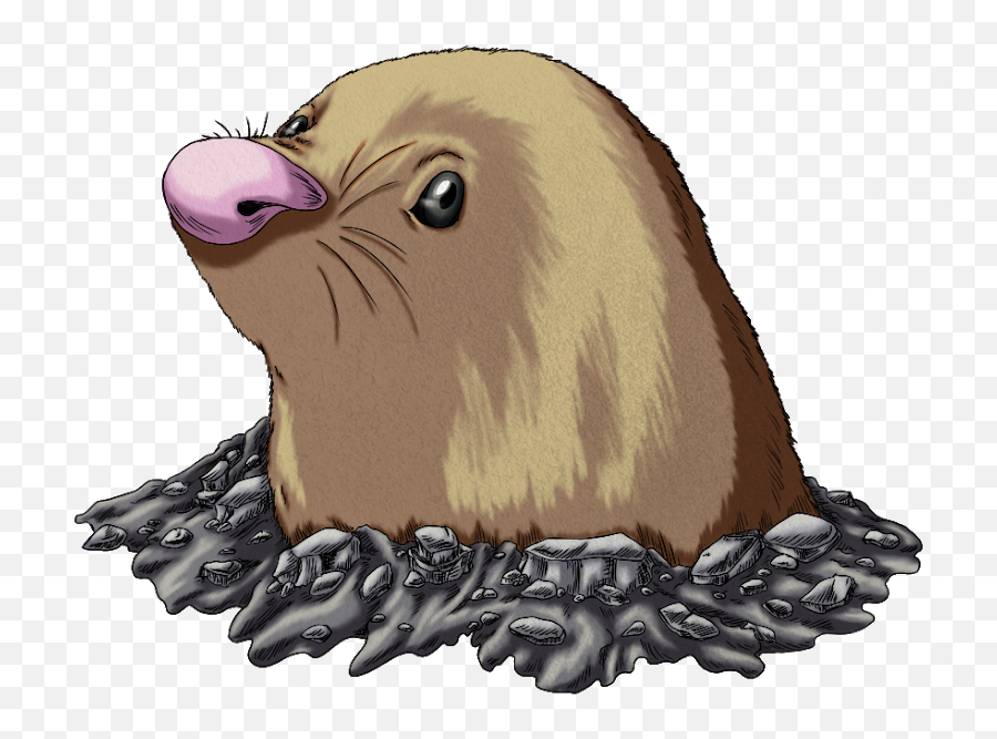 Download California Sea Lion - Beaver Png,Sea Lion Png