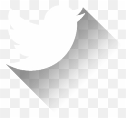 Kill Your Darlings - A true story of obsession and murder Transparent Background Twitter White Logo Png