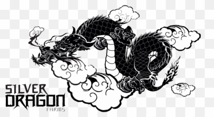 Mpowered - Silver Dragon Farms Logo png