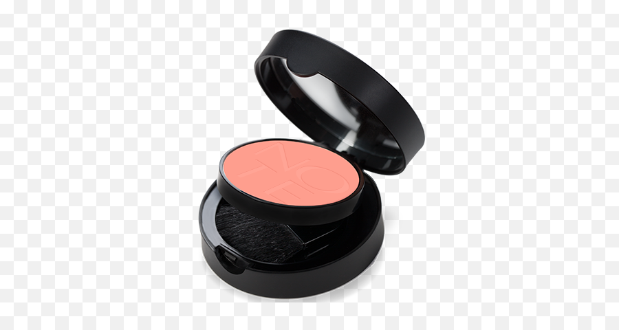 Luminous Silk Compact Blusher - Note Blusher Luminous Silk Compact Png,Wet N Wild Color Icon Blusher