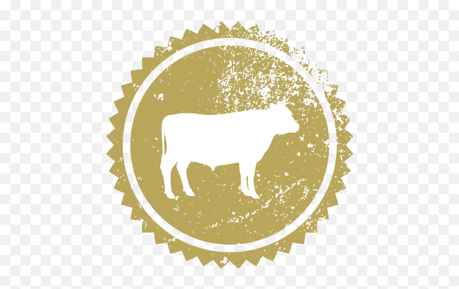 Martins Meats - Awardwinning Traditional Butchers Tâm S Phái P Png,Longhorn Cattle Icon