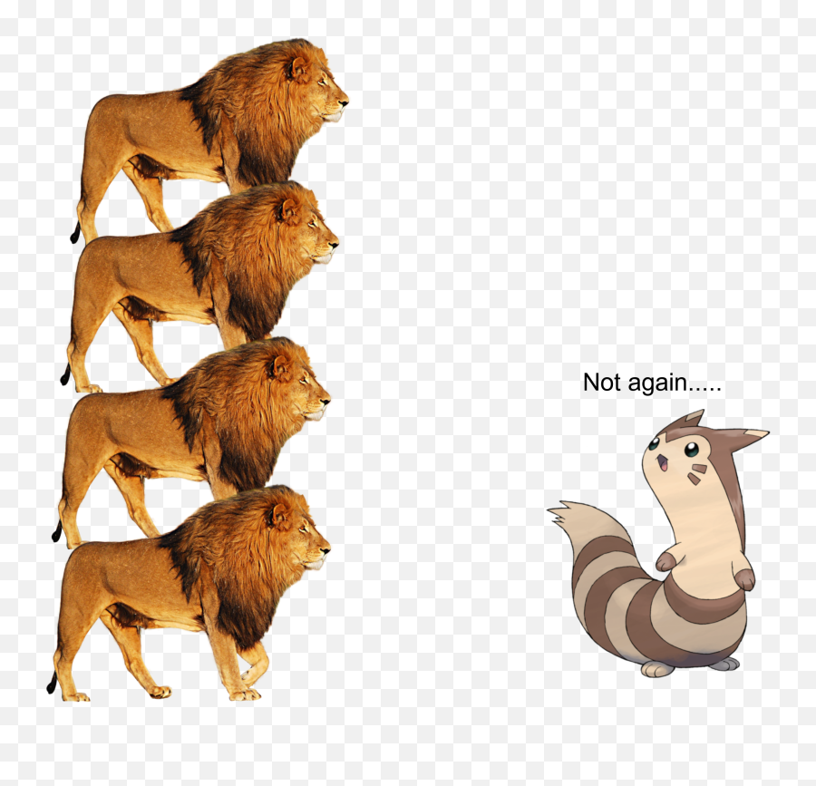 Furret Vs The Lion Stack - Lion Stack Meme Png,Lions Icon