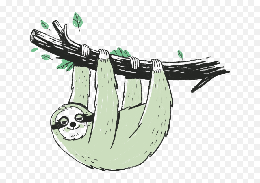 Online Courses By Matt Du0027avella Slow Growth Academy - Pygmy Sloth Png,Slowpoke Icon