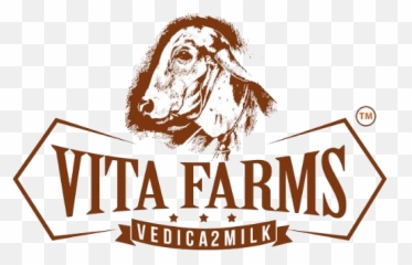 Vita Farms - Vita Farms Milk Png,Cow Logo