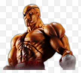 Shfiguarts Street Fighter - Shf Street Fighter Png,M Bison Png