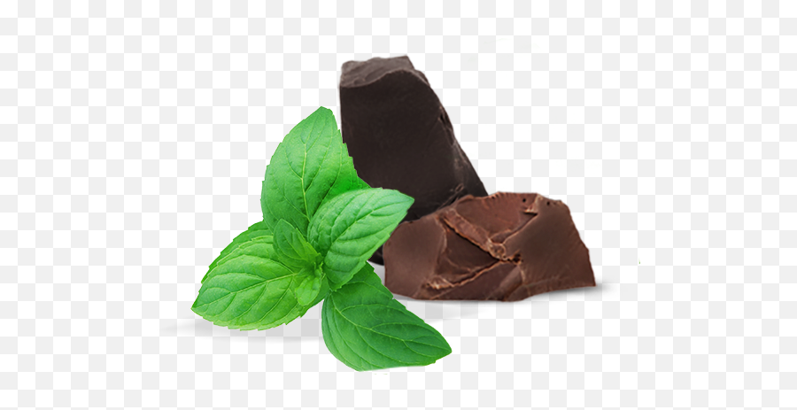 Peppermint Png Images Free Download Mint - Mint Leaves And Chocolate,Mint Leaf Png