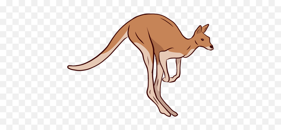 Kangaroo Tail Leg Illustration - Transparent Png U0026 Svg Kangaroo,Kangaroo Png
