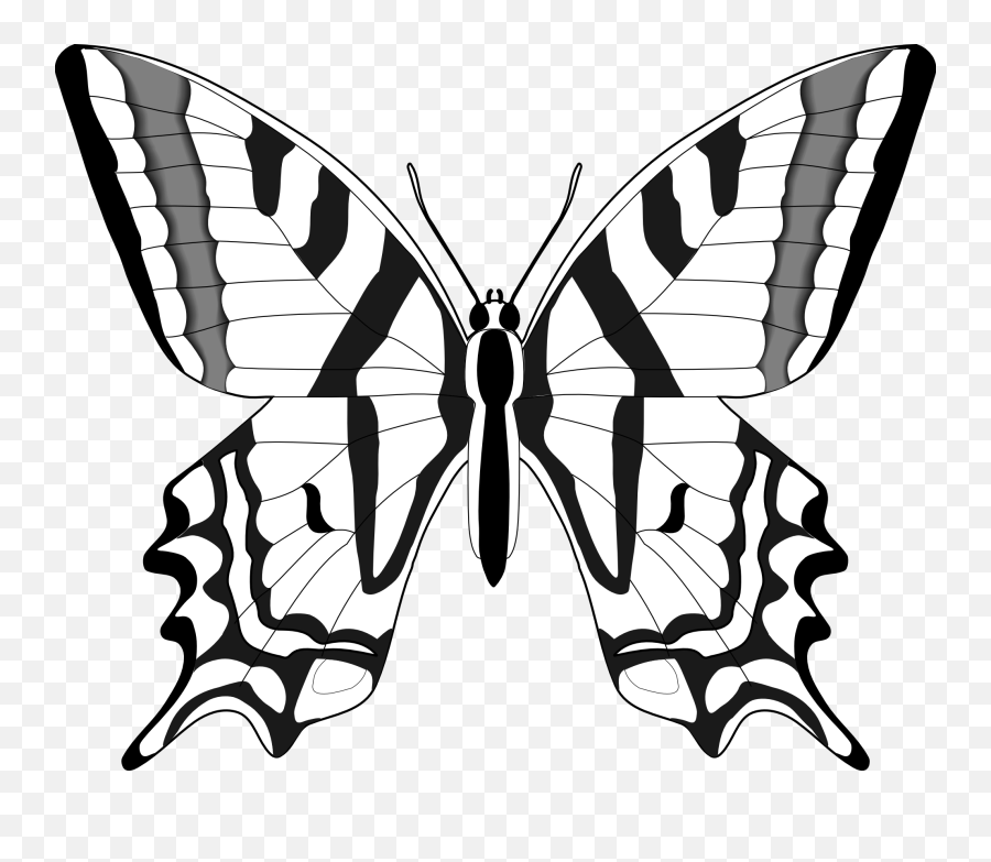 Butterfly Clipart 8 - Free Download Black And White Butterfly Clip Art Png,Butterfly Png Clipart