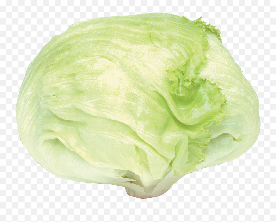 Cabbage Vegetables Plants - Cabbage Png,Cabbage Transparent
