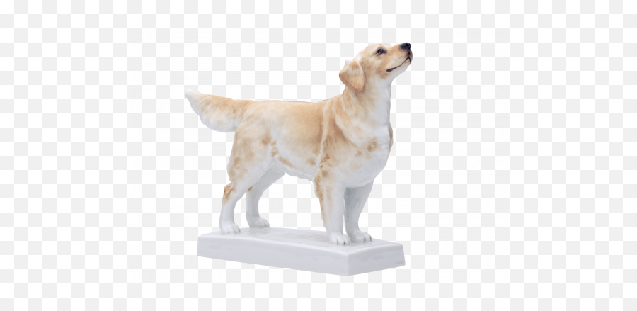 Meissen Single Figurine Golden Retriever - Labrador Retriever Png,Golden Retriever Transparent