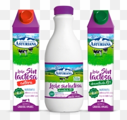 Milk Central Lechera Asturiana - Leche Asturiana Sin Lactosa Png,Leche Png