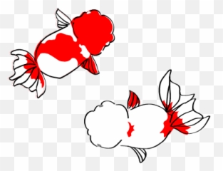 The Illustration Of Goldfish Ranchu Png Uloco - Dibujo De Pez