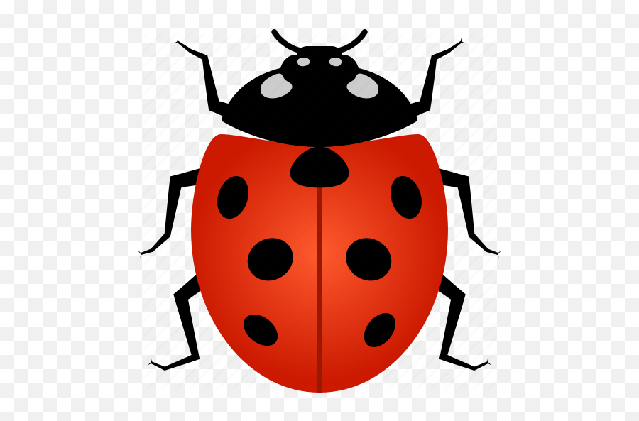 Ladybug Icon - Ladybug Png,Ladybug Png