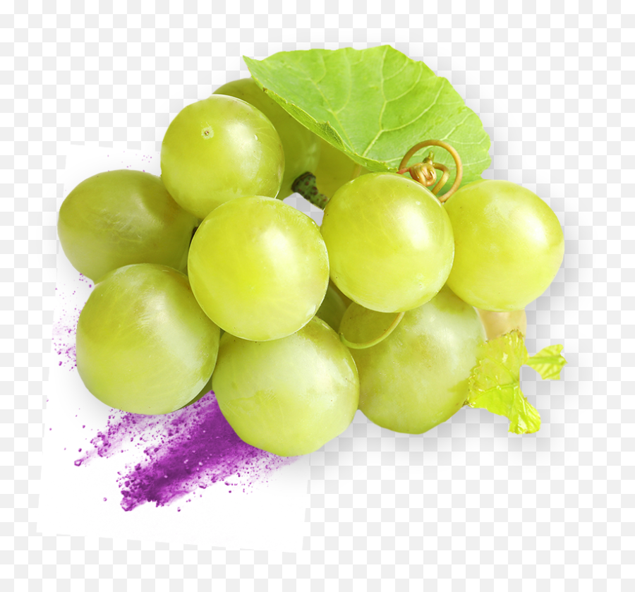 Grape Extract Specialist - Nexira Grape Png,Grape Png