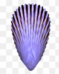 Seashells By The Seashore 6 Scrapbee - Seashell Clip Art Png,Seashell Png