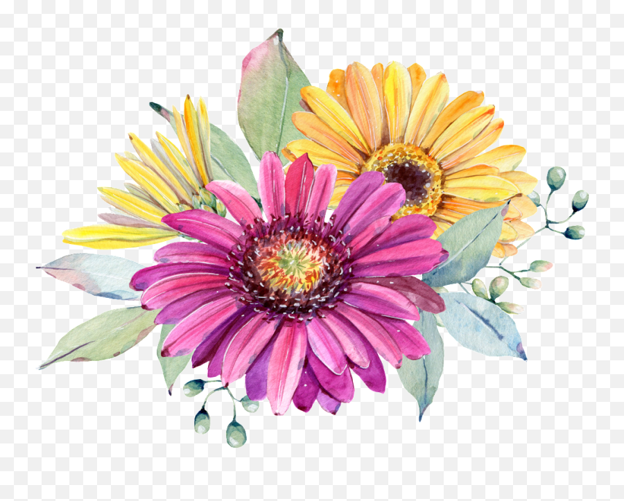 Hand Painted Purple Chrysanthemum - Watercolor Painting Png,Chrysanthemum Png