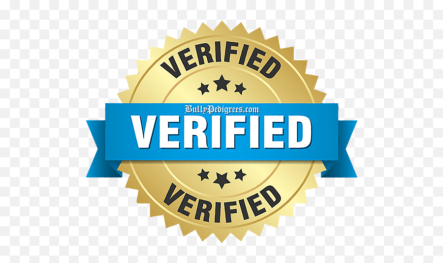 Bullypedigreescom U2013 Verified Pedigrees - Gold Png,Pedigree Logo