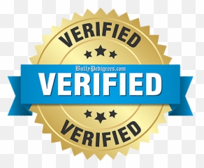 Bullypedigreescom U2013 Verified - Gold png