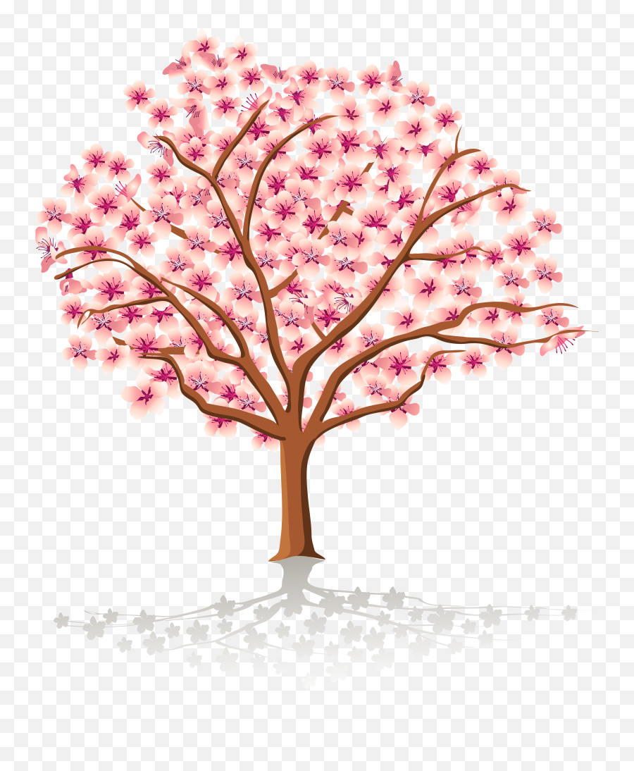 Spring Tree Clipart Transparent Png Cherry Blossom Branch