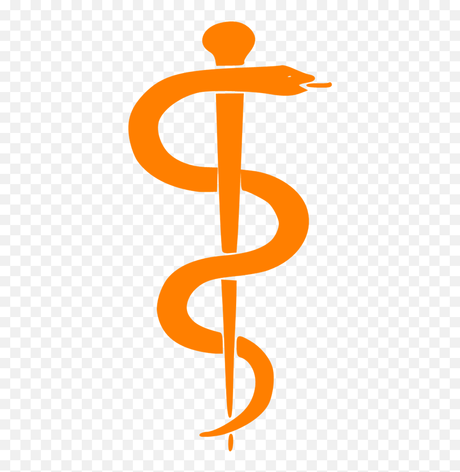 Rod Of Asclepius Upright Orange Svg Vector - Symbols For Anthropology Png,Asclepius Icon Transparent