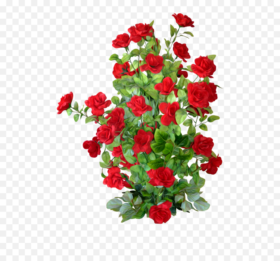 Petal Rose Roses Shrub Garden Png Image - Red Rose Bush Png,Garden Png