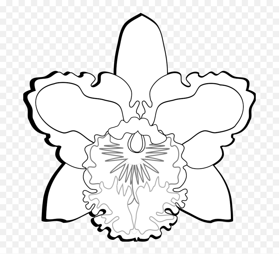 Orchid Flower Png - Cattleya Orchids Floral Design Flowering Cattleya,Black And White Flower Png