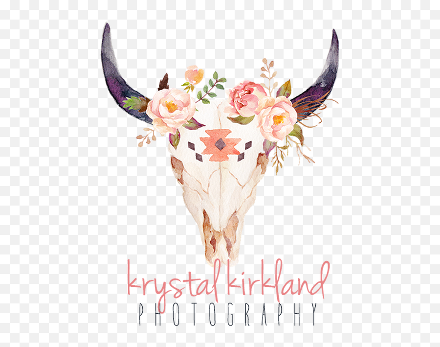 Library Of Boho Cow Head With Flower Crown Transparent - Boho Skull With Flowers Png,Boho Logo