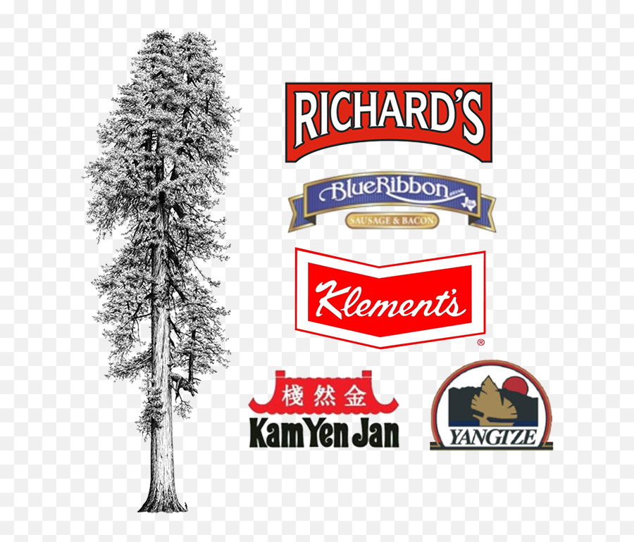 Download Tall Tree Foods - Giclee Painting Van Peltu0027s Tall Tree Foods Logo Png,Tall Tree Png