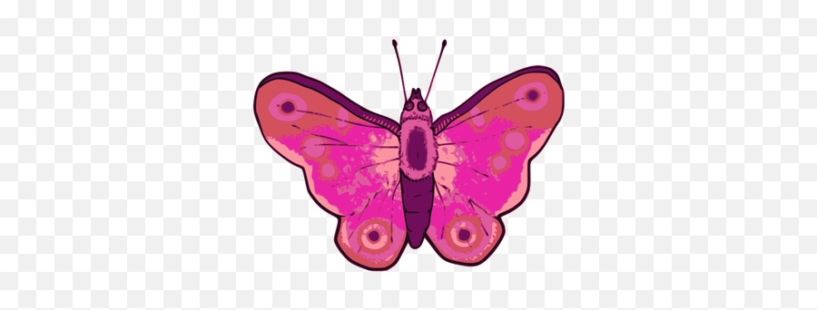 Vector Illustration Of Pink And Purple Butterfly Free Svg - Desenho De Borboletas Rosa Png,Purple Butterfly Png