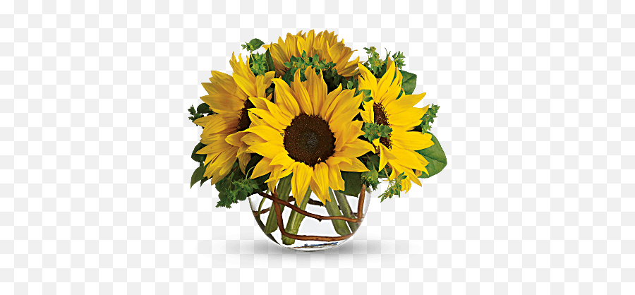 Sunny Sunflowers U2014 Blessings Floral Design Png Transparent Background