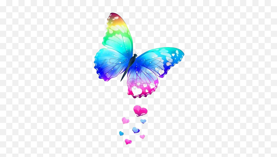 Rainbow Butterfly Transparent Background Png Arts - Colorful Butterfly Png,Rainbow Transparent Background