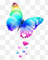 Rainbow Butterfly Transparent Background Png Arts - Colorful Png