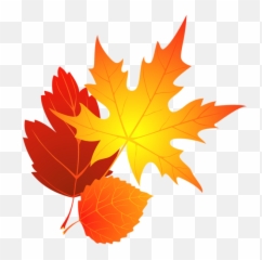 Autumn Leaves Clip Art - Transparent Background Fall Leaf Clipart png