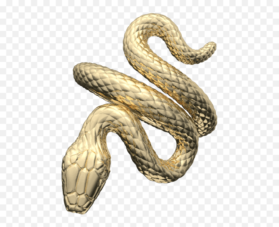 The Serpent - Serpent Png,Snake Eye Png