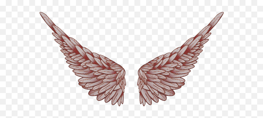 Download Baby Angel Wings Png Praying T - Logo Full Parrot,Angel Wings Logo