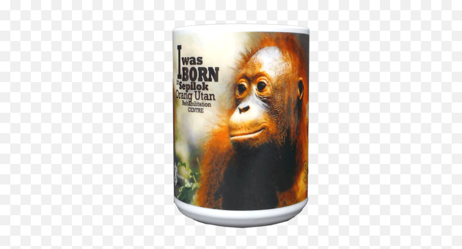 Dishwasher Safe Microwave - Monkey Png,Orangutan Png