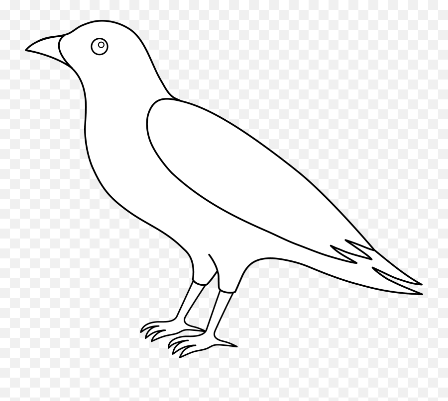 Colorable Crow Line Art Free Clip - Outline Crow Clipart Black And White Png,Crows Png