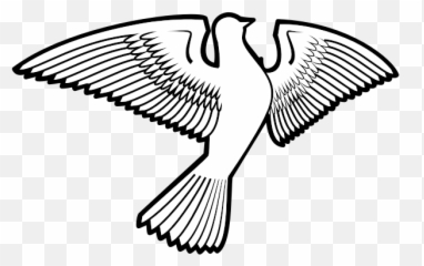 Dove Bird Silhouette - Columbidae png