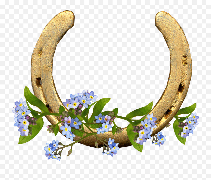 Horse Shoe Forget Me Not Flowers - Horseshoe With Flowers Png,Forget Me Not Png