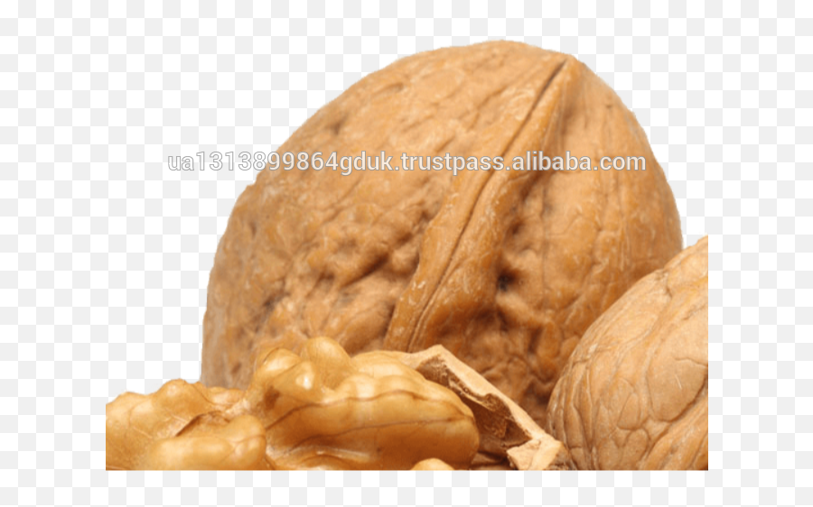 Walnuts Png - Walnut Best Quality Walnuts Organicfacotory Transparent Walnut Clipart,Walnut Png