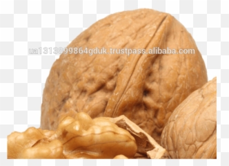 Walnuts Png - Walnut Best Quality Walnuts Organicfacotory Transparent Walnut Clipart,Walnut Png