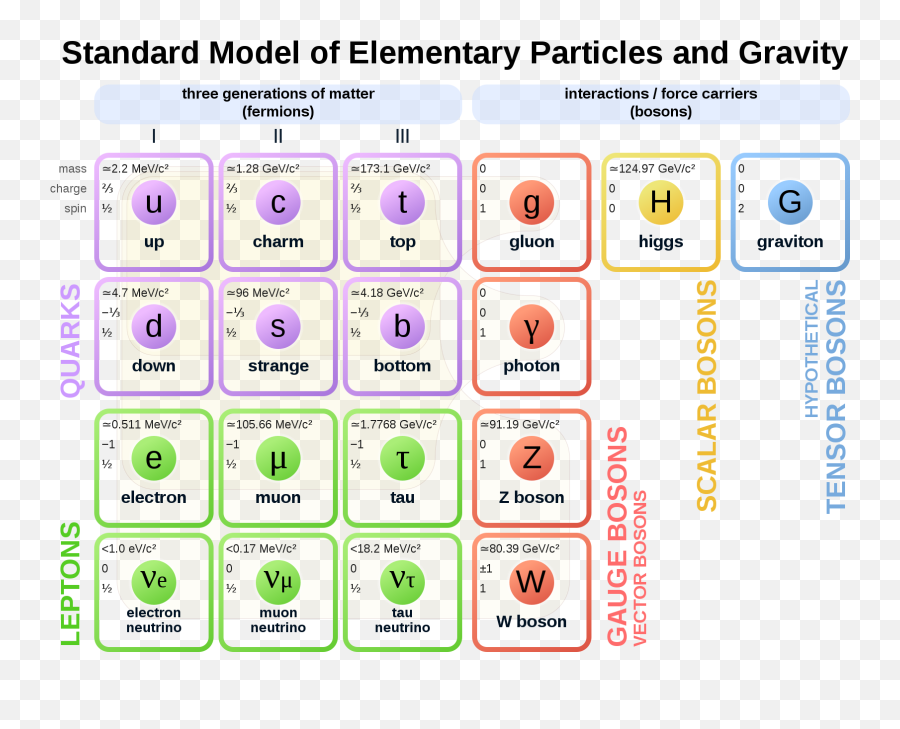 Elementary Particles Gravity - Standard Model Png,Gravity Png