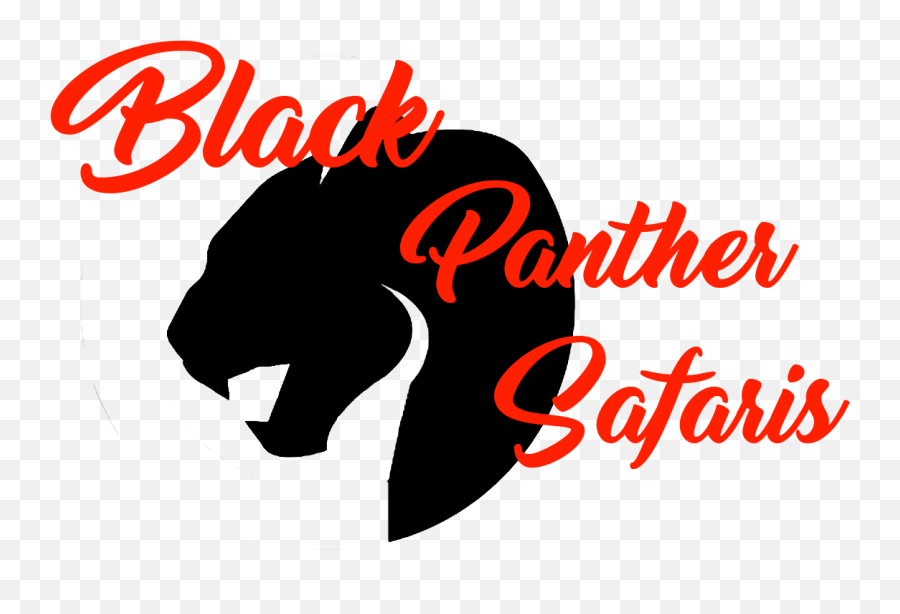 Black Panther Safaris - East Africa Explore Africau0027s Png,Black Panther Logo Transparent