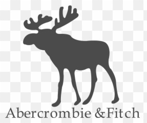 Abercrombie Fitch Logo And Symbol - png