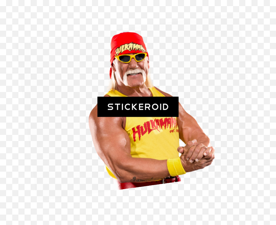 Wwe Hulk Hogan Png Transparent - Hulk Hogan Png,Hulk Hogan Png