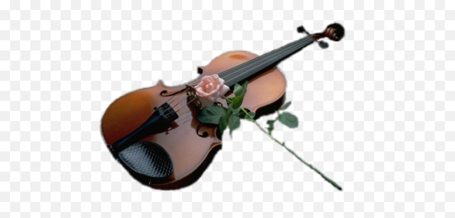 Violin Png Free Download 11 Images - Violin,Fiddle Png