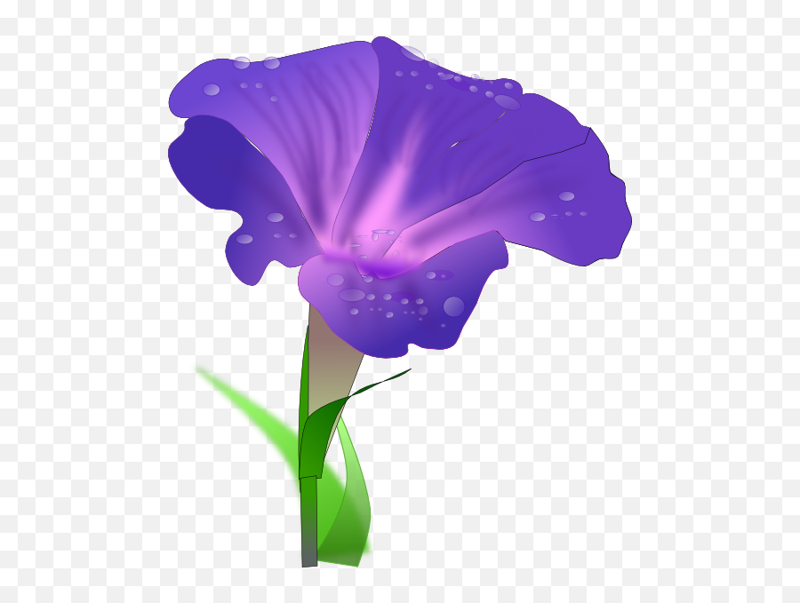 Purple Iris Png Download Free Clip Art - Morning Glory Flower Clipart,Iris Flower Png