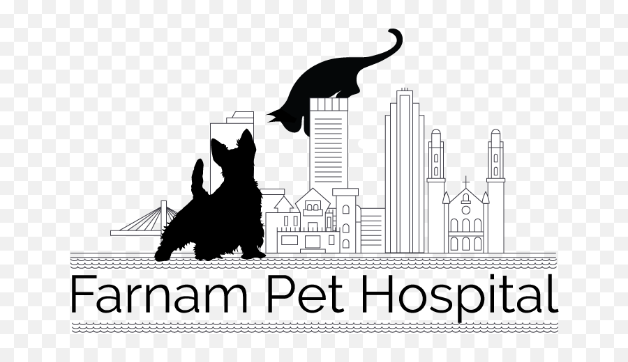 Farnam Pet Hospital - Omaha Ne Home Illustration Png,Veterinarian Png