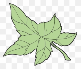 Ivy Leaf Clipart Free Download Transparent Png Creazilla - Leaf Clipart