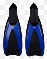 Flippers Png Images Free Download Flipper Fin